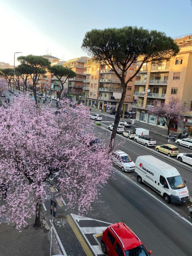 Affittacamere Domum Vaticani 2*